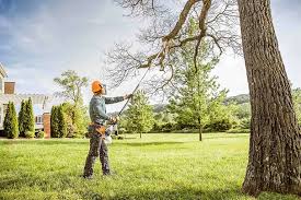 Best Tree Mulching Services  in USA